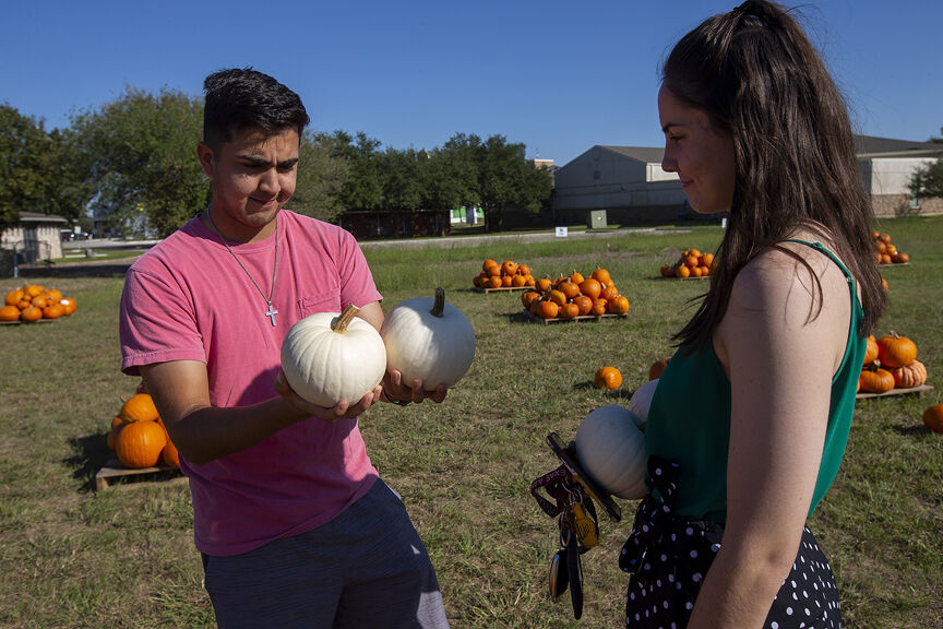 Faith in Action pumpkin patch